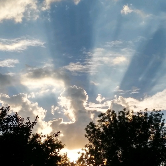 Meet your Posher, Jen - Picture 1 of 1